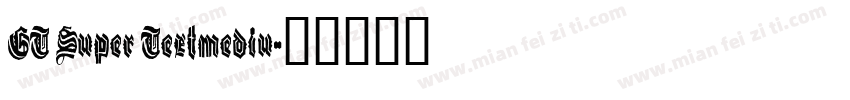 GT Super Textmediu字体转换